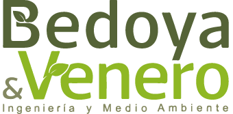 bedoyayvenero.com