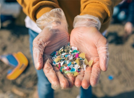 La “Pandemia” del Plástico